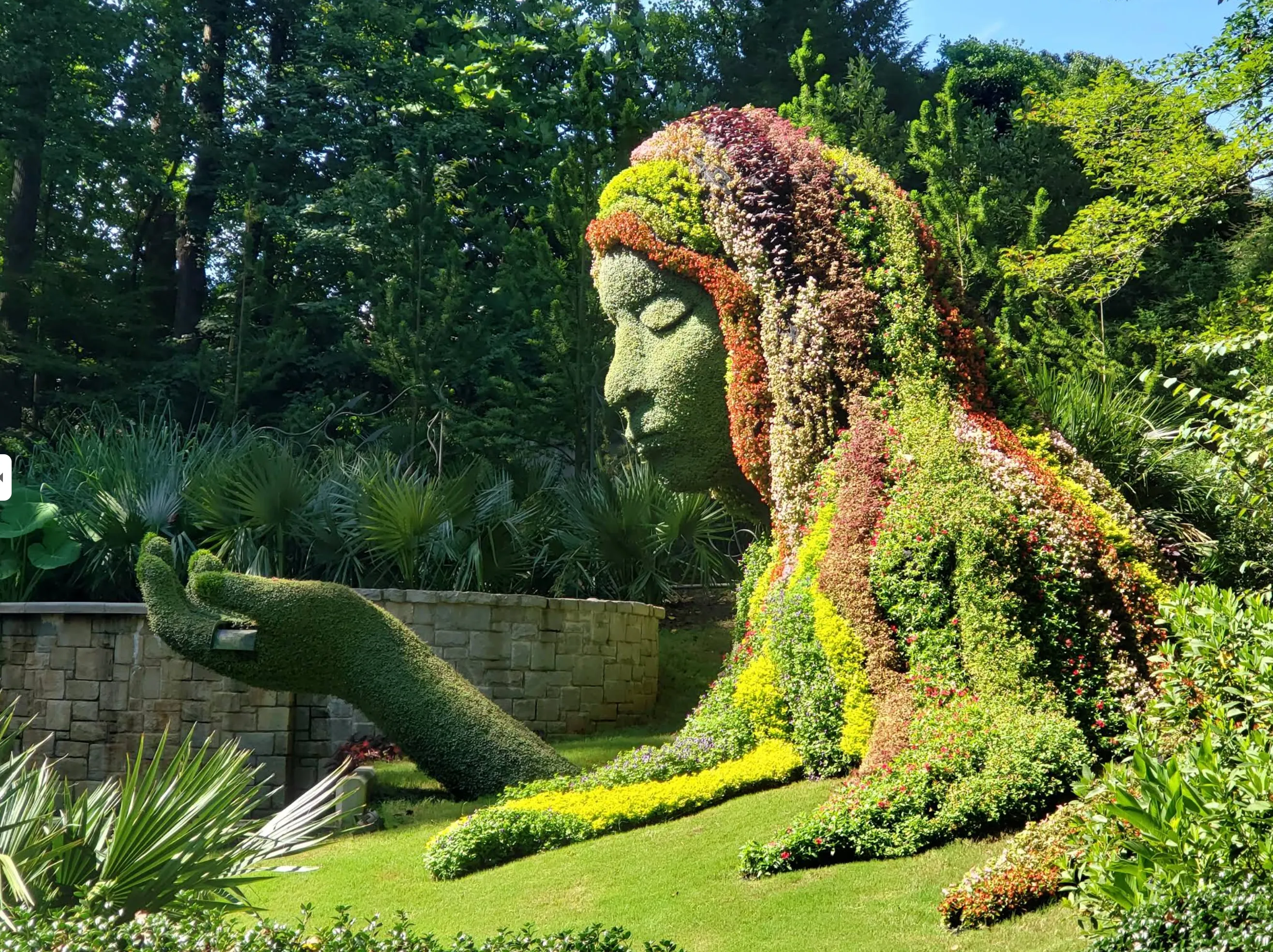 Atlanta Botanical Garden Kendeda Canopy Walk