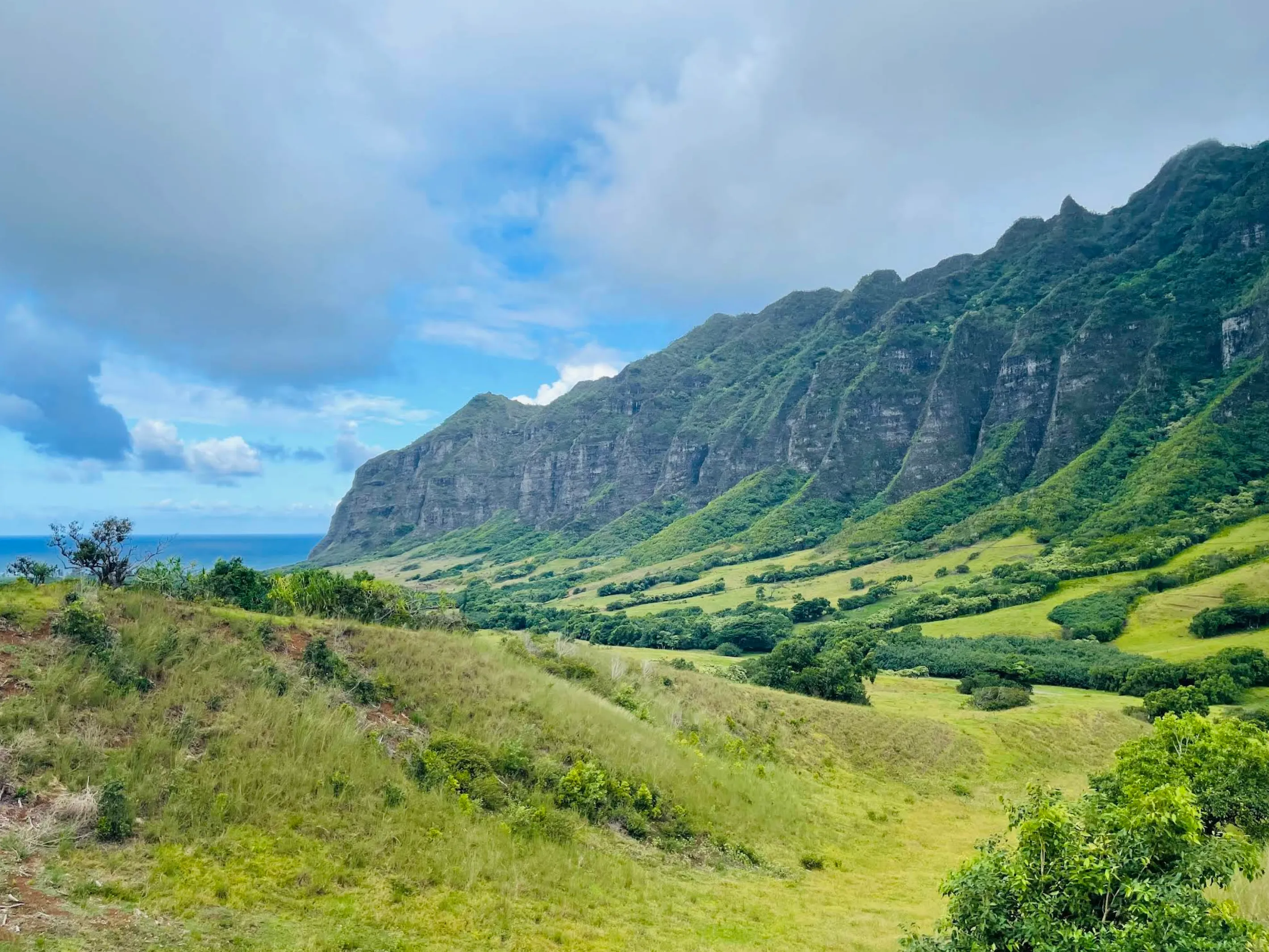 Image: Family on an open-air ranch tour vehicle driving through “Jurassic Valley” at Kualoa